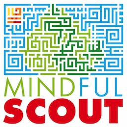 Mindful Scout